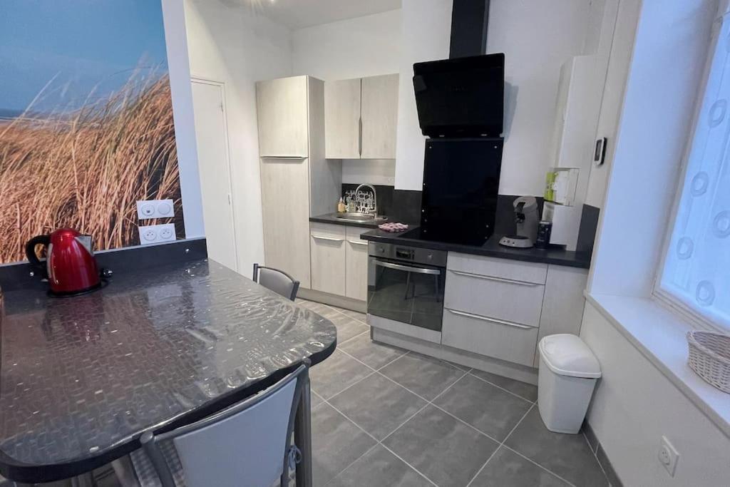 Cocon Lumineux Proche De La Fortifiee Et De Nausicaa Apartment Boulogne-sur-Mer